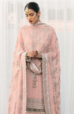 Pakistani Suits Designs - Pakistani Suits Online