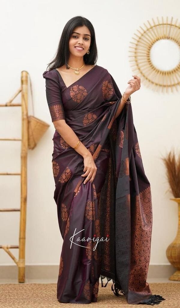 Saree How To Put On - Designer Sarees Rs 500 to 1000 -