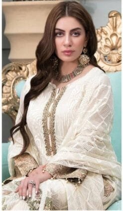 Best Best Pakistani Clothes Brands | USA