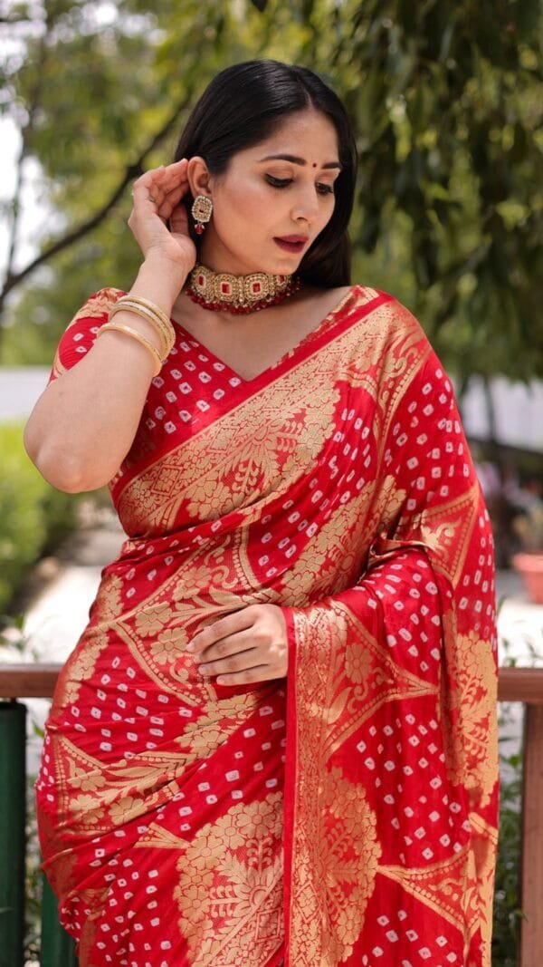 Best Saree Stores India | USA