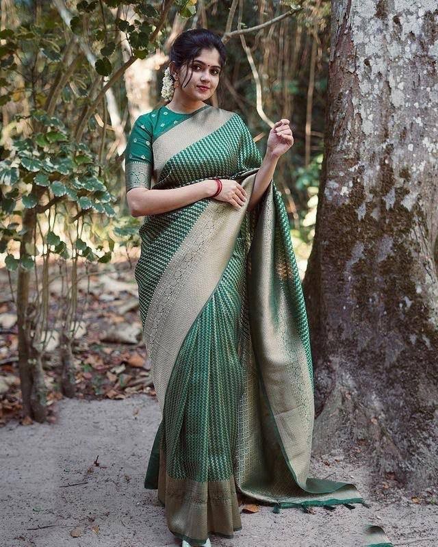 Saree Silhouette -  UK