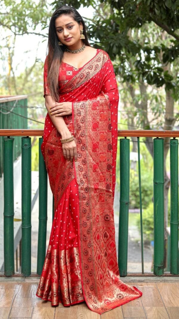 Indian Saree Traditional United Kingdom