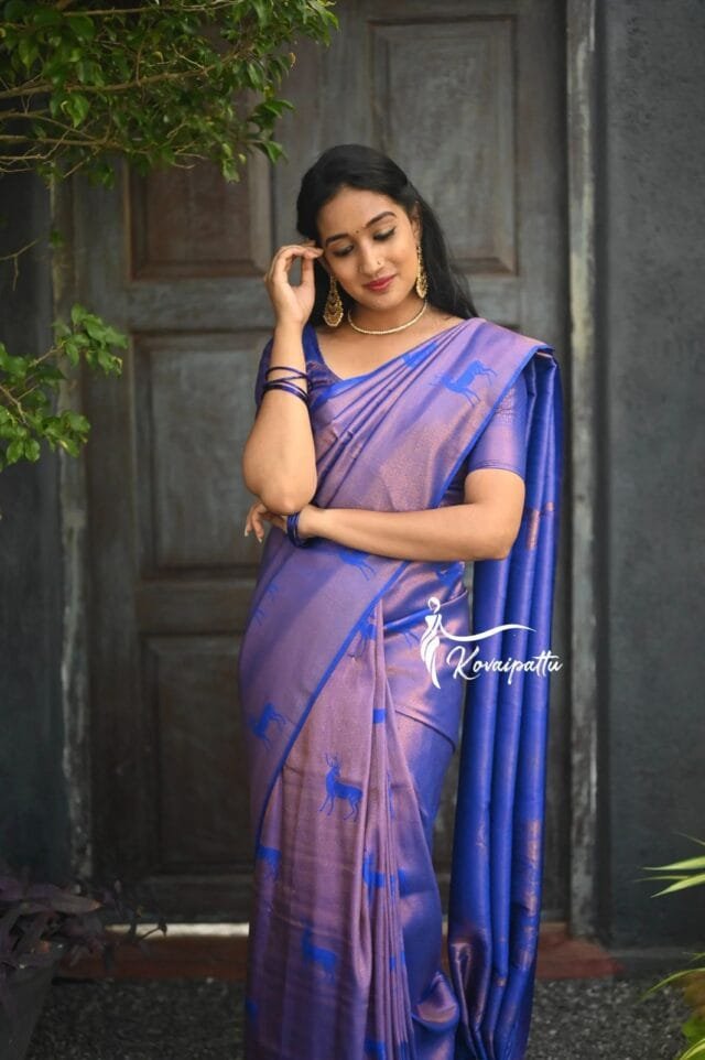 Designer Sarees Wedding USA