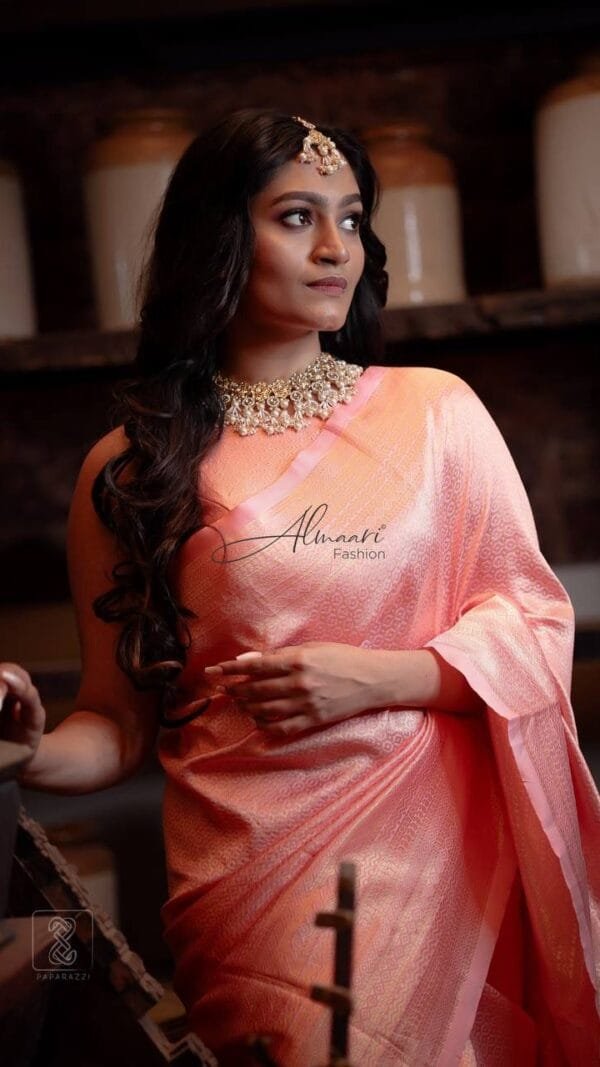 Indian Bridal Saree Online USA