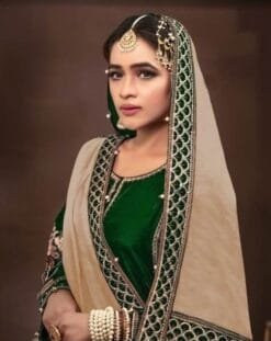 Pakistani Suits Wholesale In Jammu