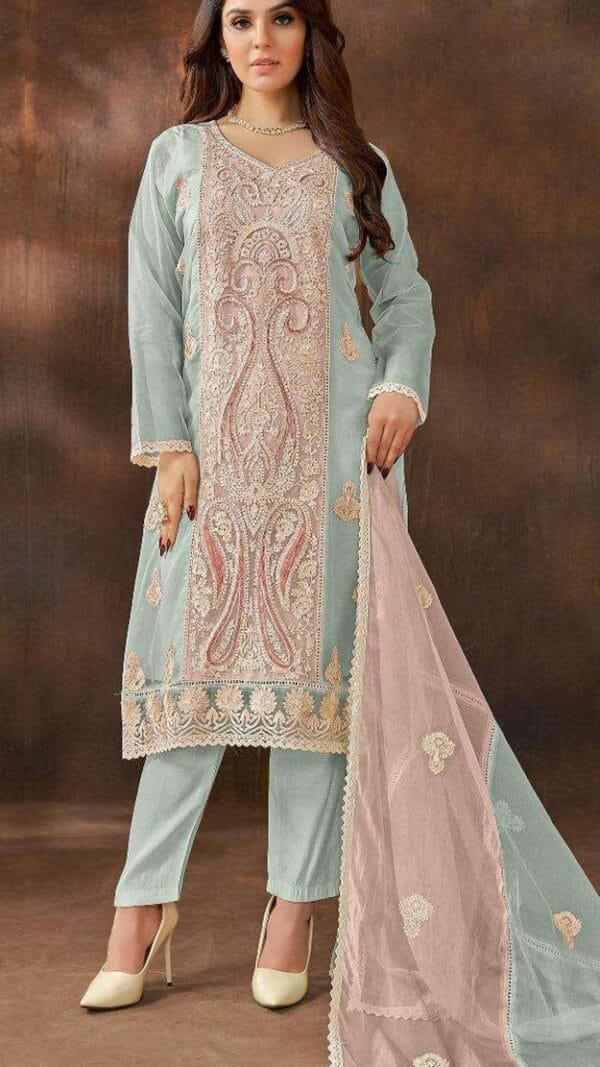 Surat Wholesale Pakistani Suits