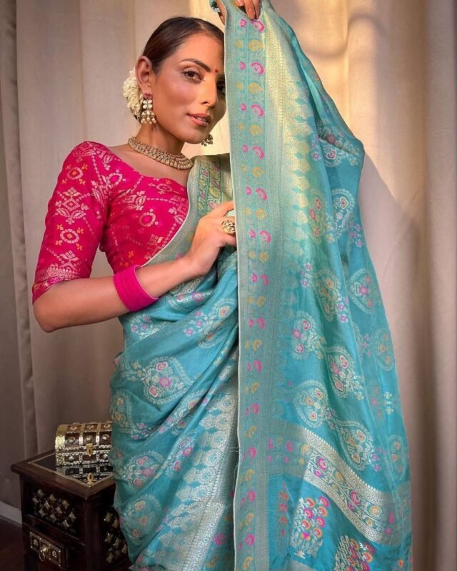 Indian Wedding Saree Dresses USA