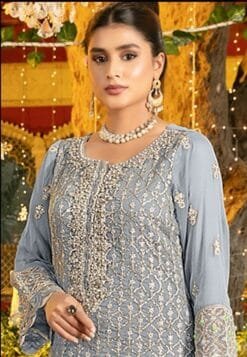 Saree Shops In Mississauga