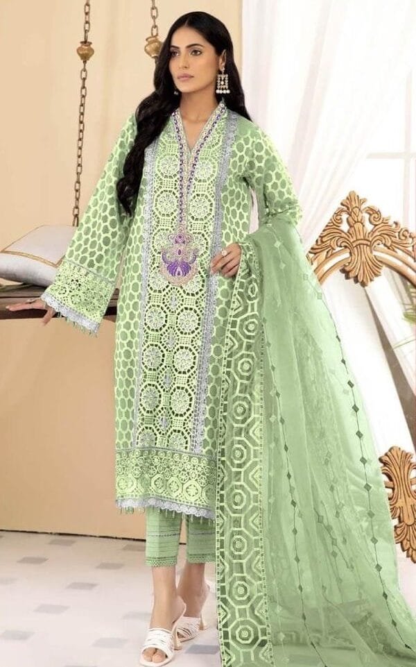 Pakistani Clothes UK Next Day Delivery