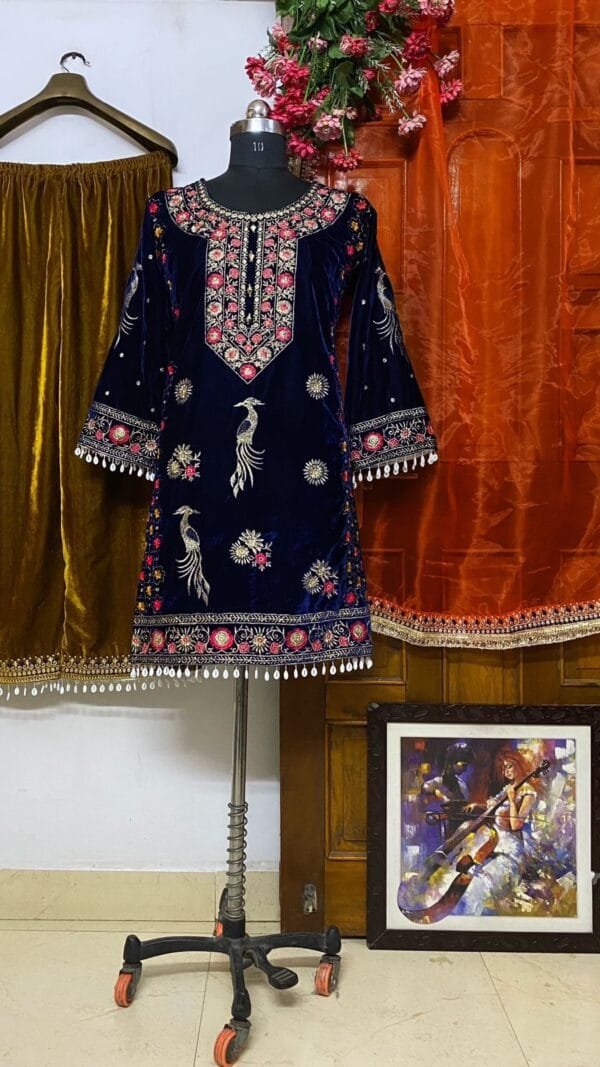 Black Heavy Velvet Top with Beautiful Embroidered Pakistani Suits in Sale