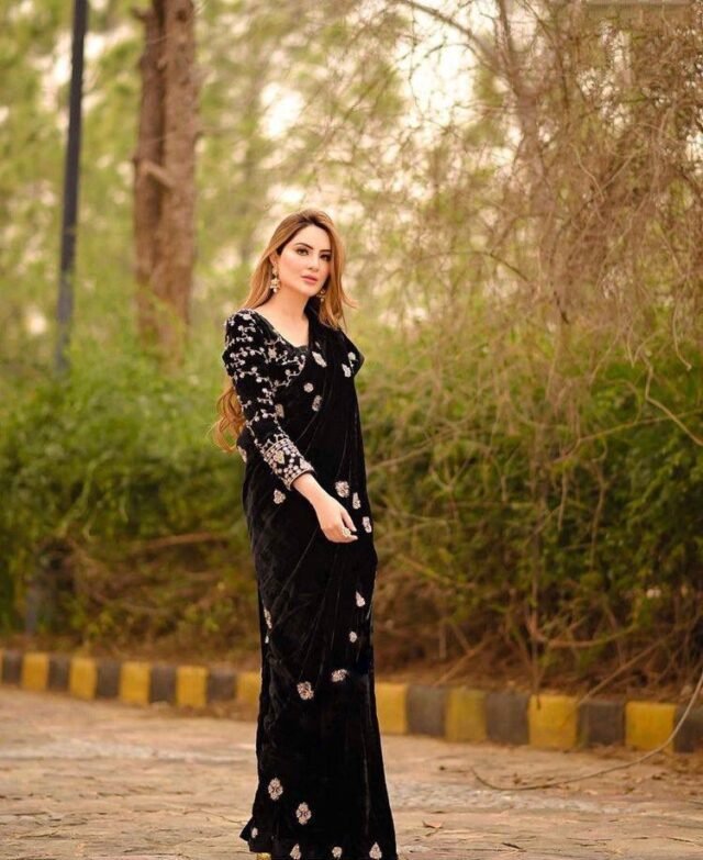 Black Velvet Saree with Embroidered All Over Work