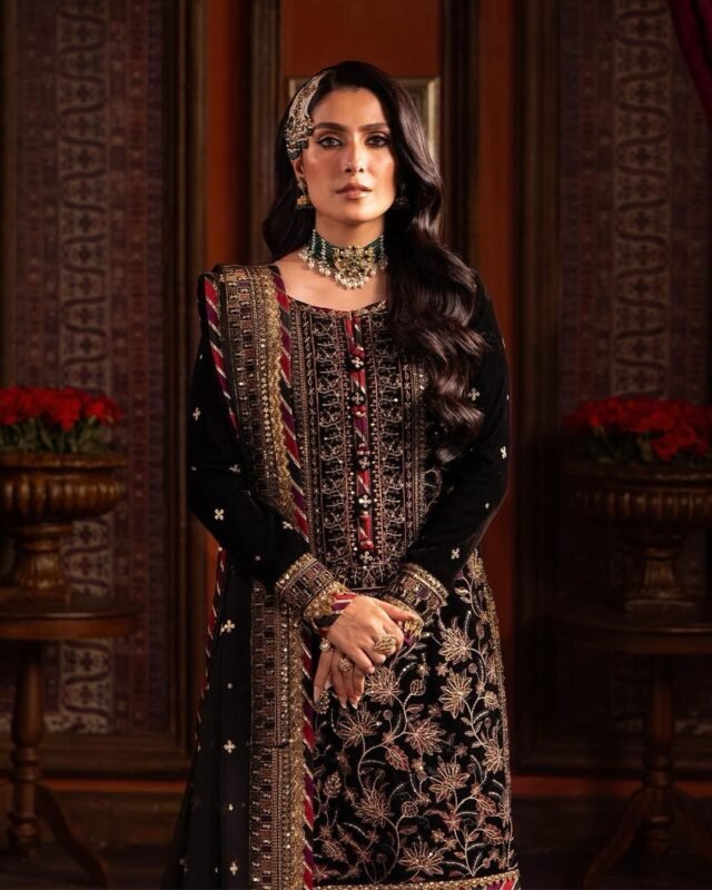 Brown Velvet with Sequence Embroidery Work Pakistani Suits In Sale