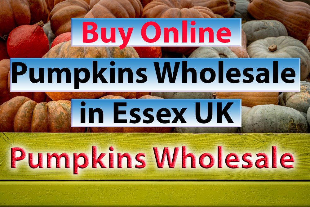 Buy Online Pumpkins Wholesale in Essex UK