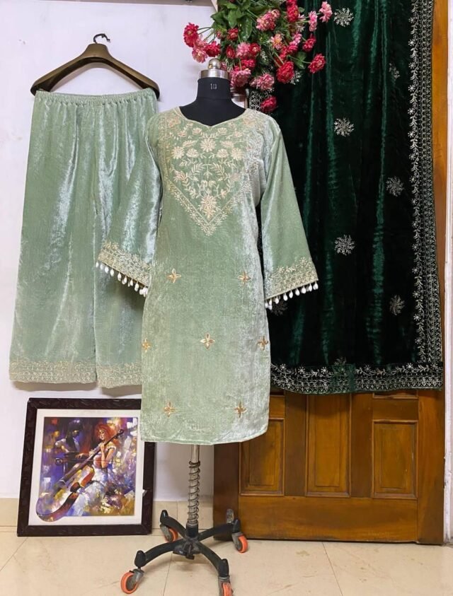 Green Heavy Velvet Top with Beautiful Embroidered Pakistani Suits In Sale