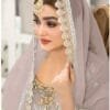 Light Brown Pure Organza Embroidered Work Pakistani Suits In Sale