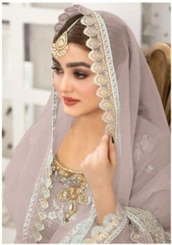 Light Brown Pure Organza Embroidered Work Pakistani Suits In Sale