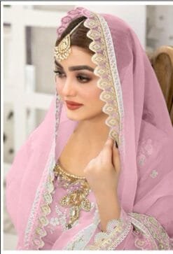 Light Pink Pure Organza Embroidered Work Pakistani Suits In Sale