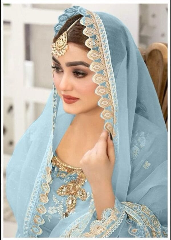 Sky Blue Pure Organza Embroidered Work Pakistani Suits In Sale