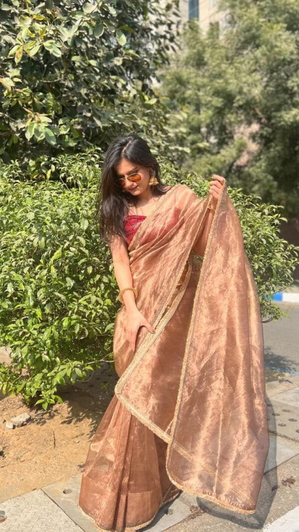 Biscut Colour Burberry Jimmy Chuu Saree
