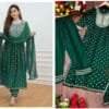 Green Colour Reyon Alia Cut Dresses