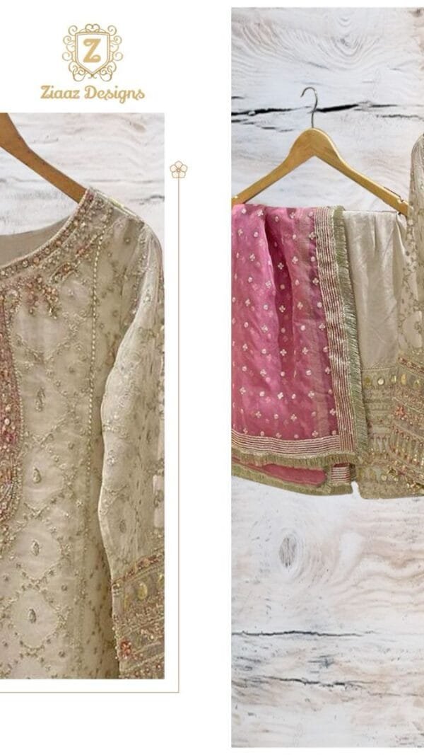 Radiant Pak Styles Designer Pakistani Suits