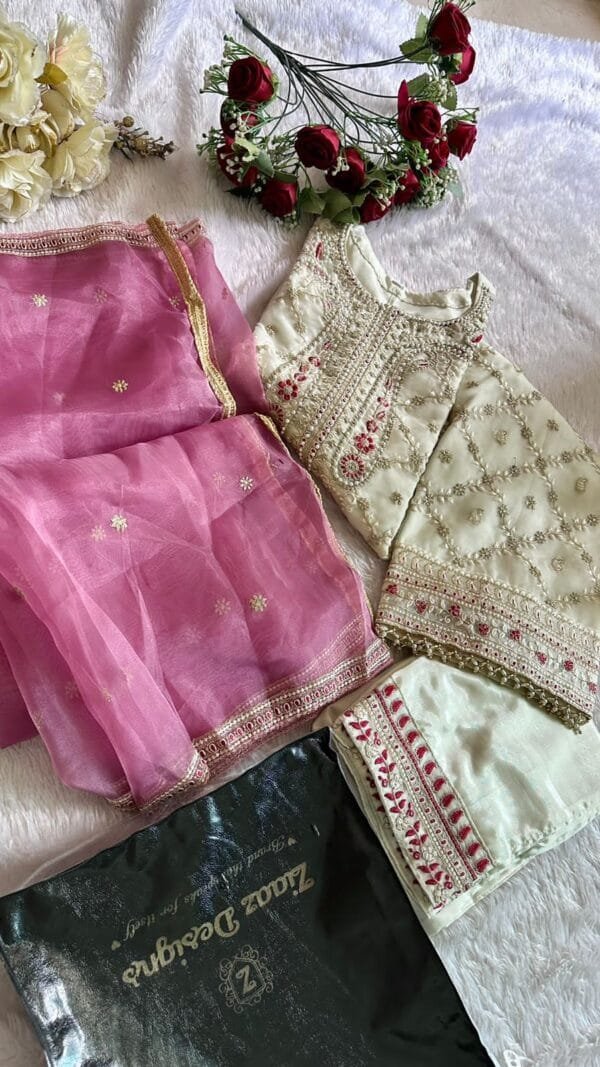 Radiant Pak Styles Designer Pakistani Suits