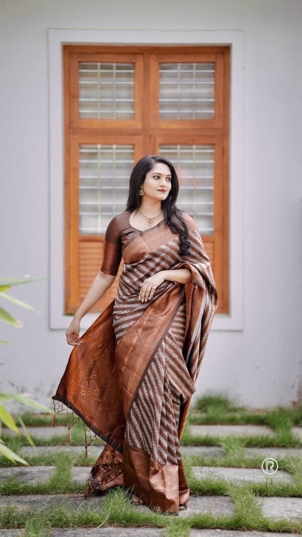 Brown Colour Banarasi Soft Silk Saree
