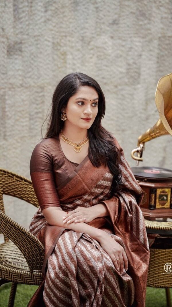 Brown Colour Banarasi Soft Silk Saree