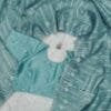 Light Blue Colour Pure soft organza saree