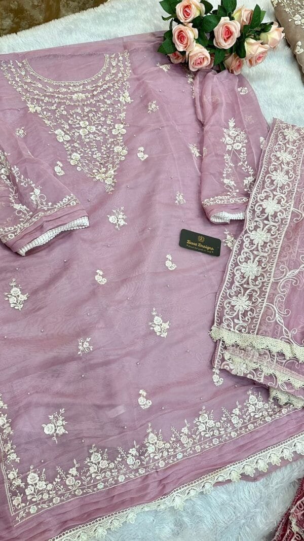 Light Brown Organza Embroidered, handwork Suits