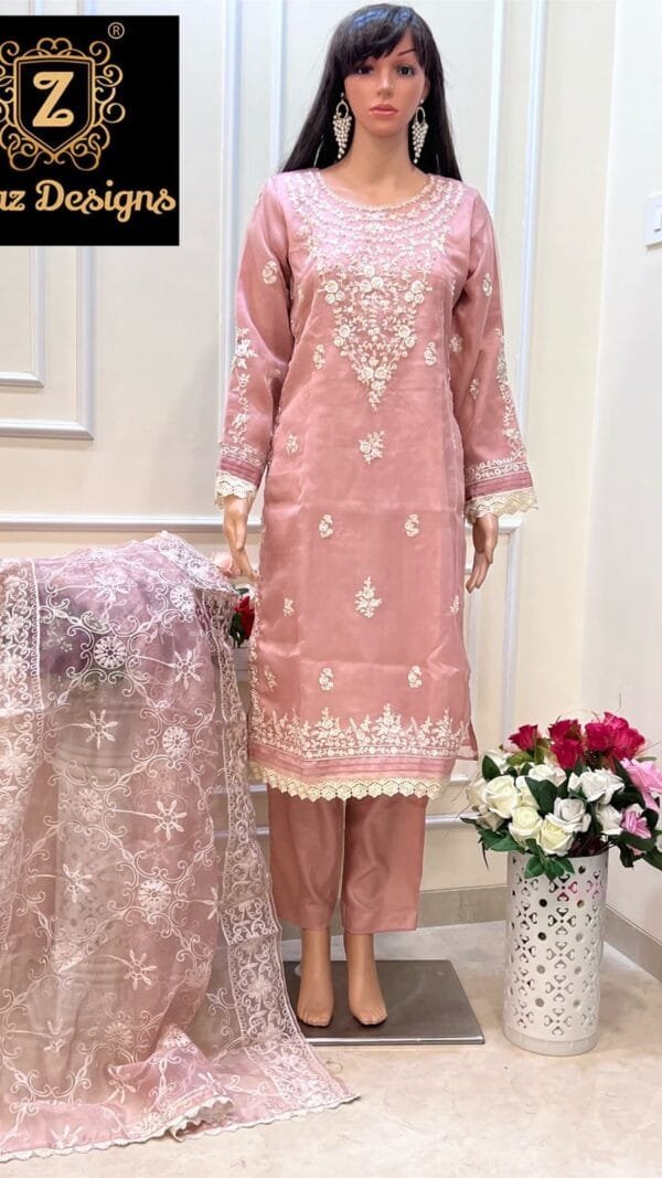 Light Brown Organza Embroidered, handwork Suits