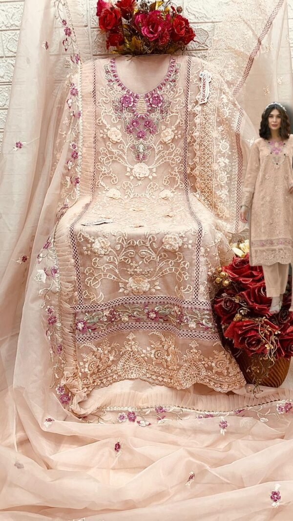 Biscyit Colour ORGANZA EMBROIDERED Suits