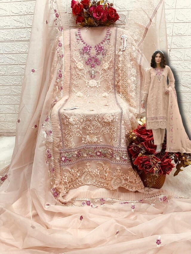 Biscyit Colour ORGANZA EMBROIDERED Suits
