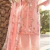 Light Brown color Pakistani Suits Dress