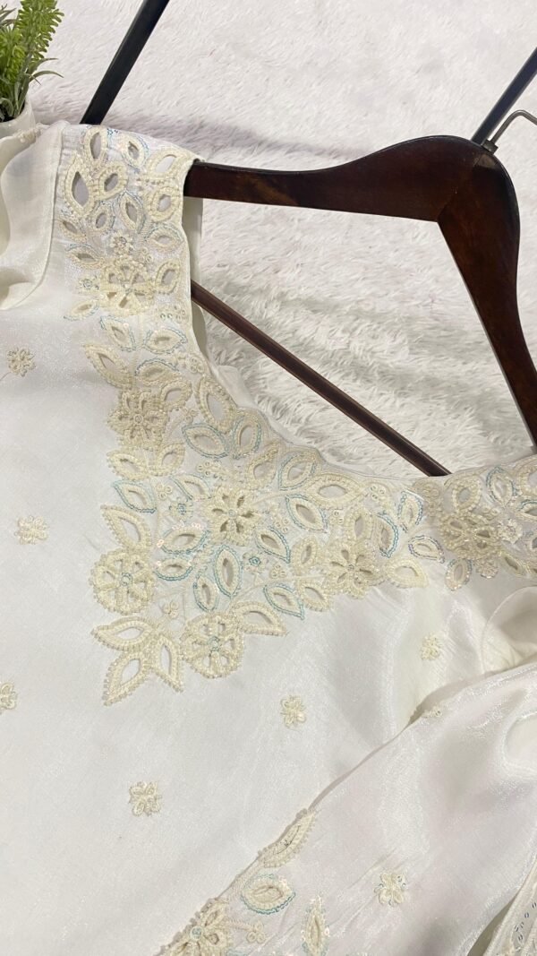 Beads and sequence embroidery Farshi suit close-up design