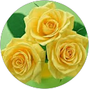 Prasanna Shravan profile picture